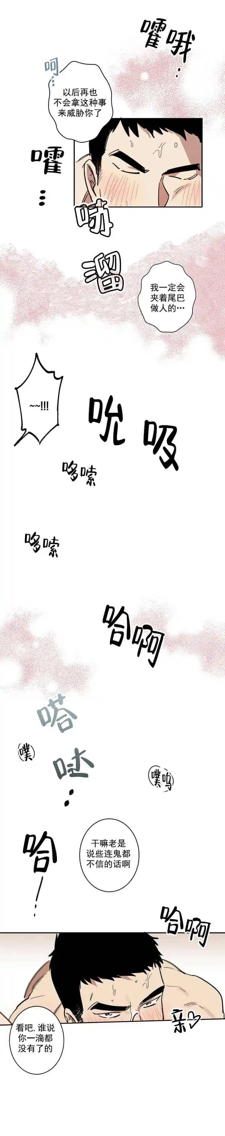 领带的用途 - 回答 - 第7页