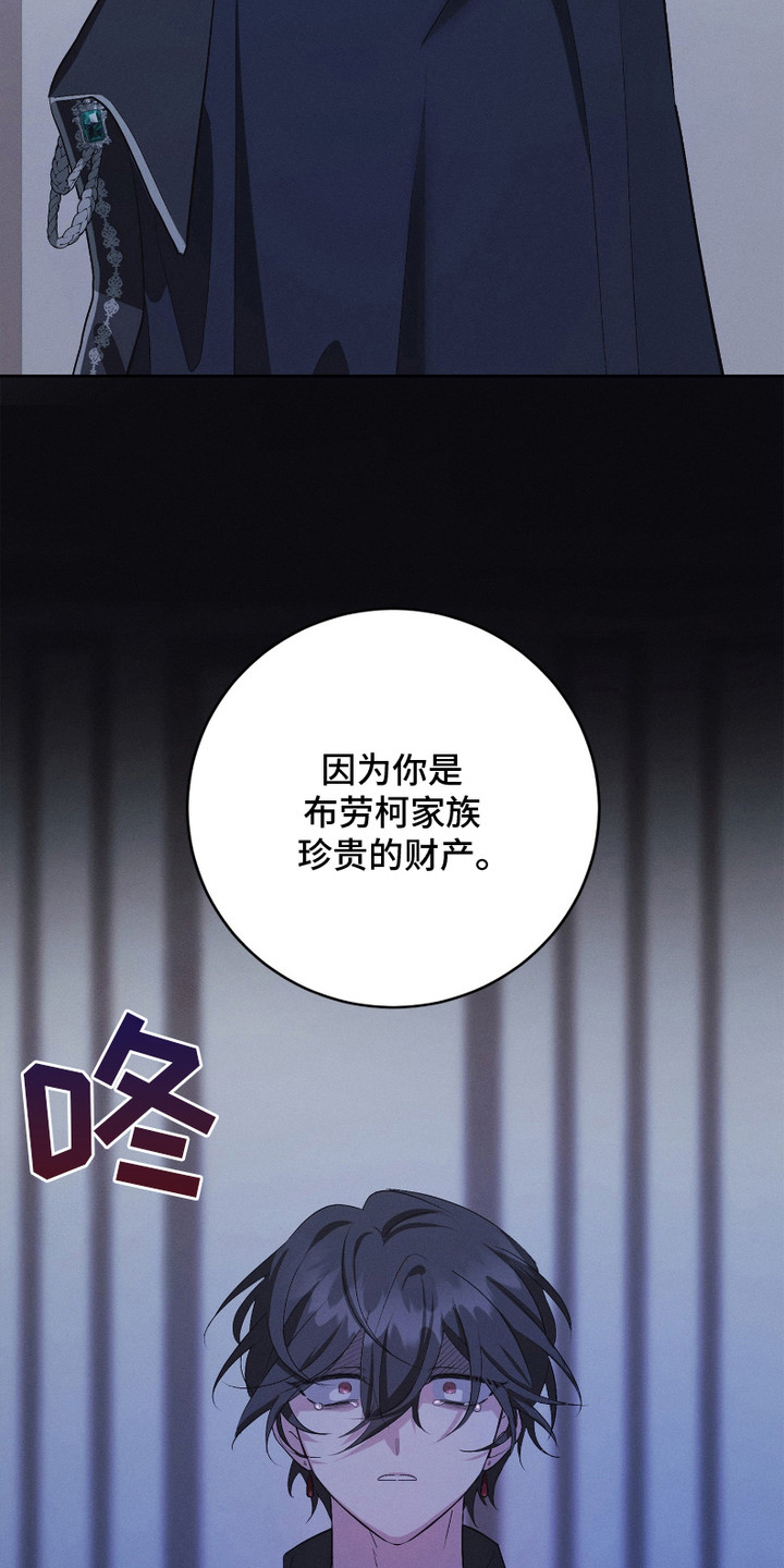别馆幽灵 - 珍贵的财产 - 第13页