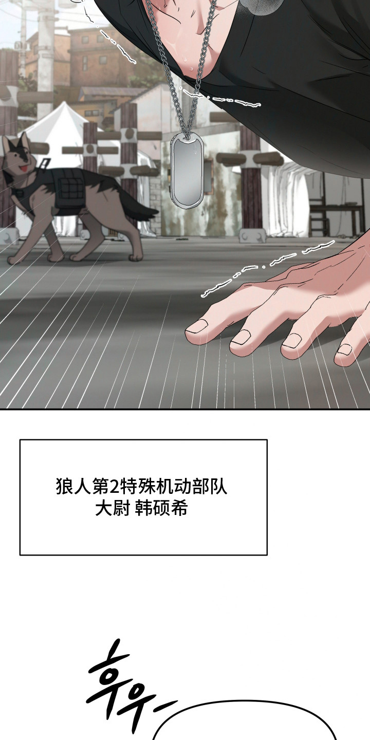 军狼的枷锁 - 特种部队 - 第14页