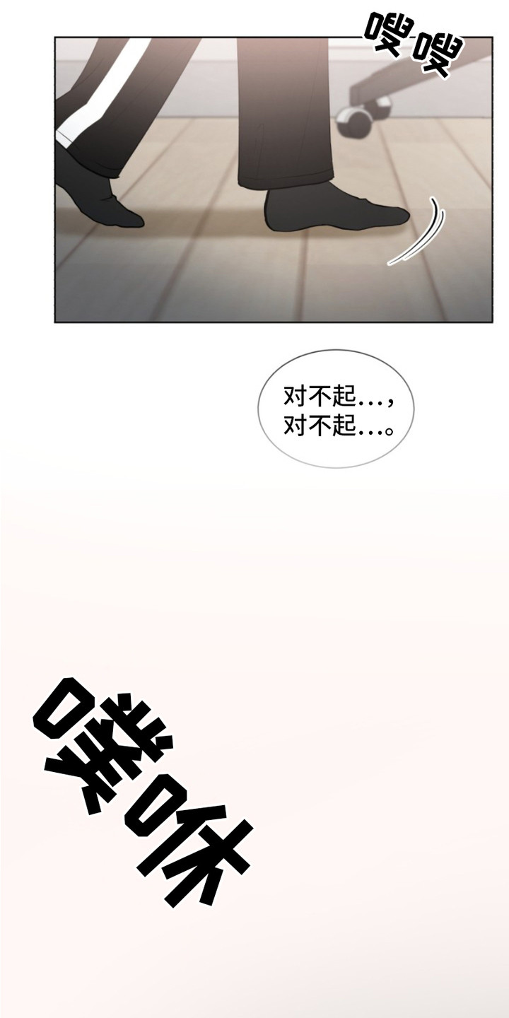 双向反转 - 解释 - 第17页