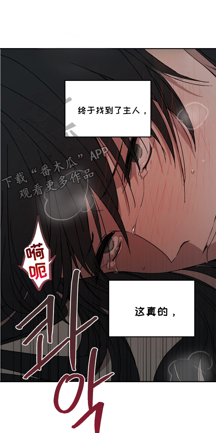 白虎之王 - 名字 - 第15页