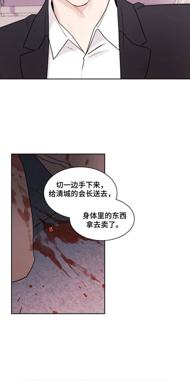 秘密领域 - 另一面 - 第7页