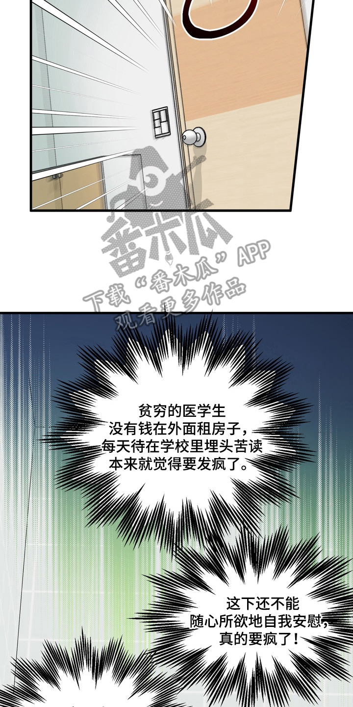 独处结束 - 解放 - 第13页