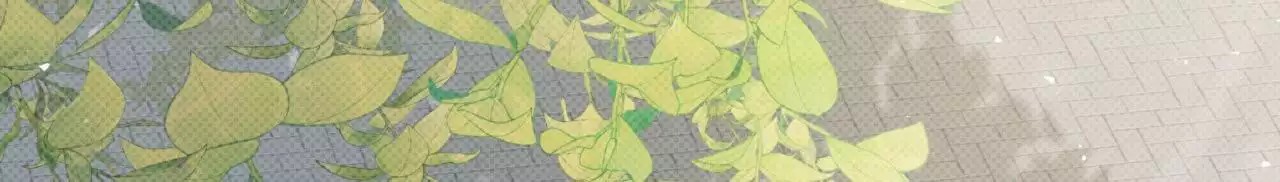 给哀悼的你 -   - 第77页