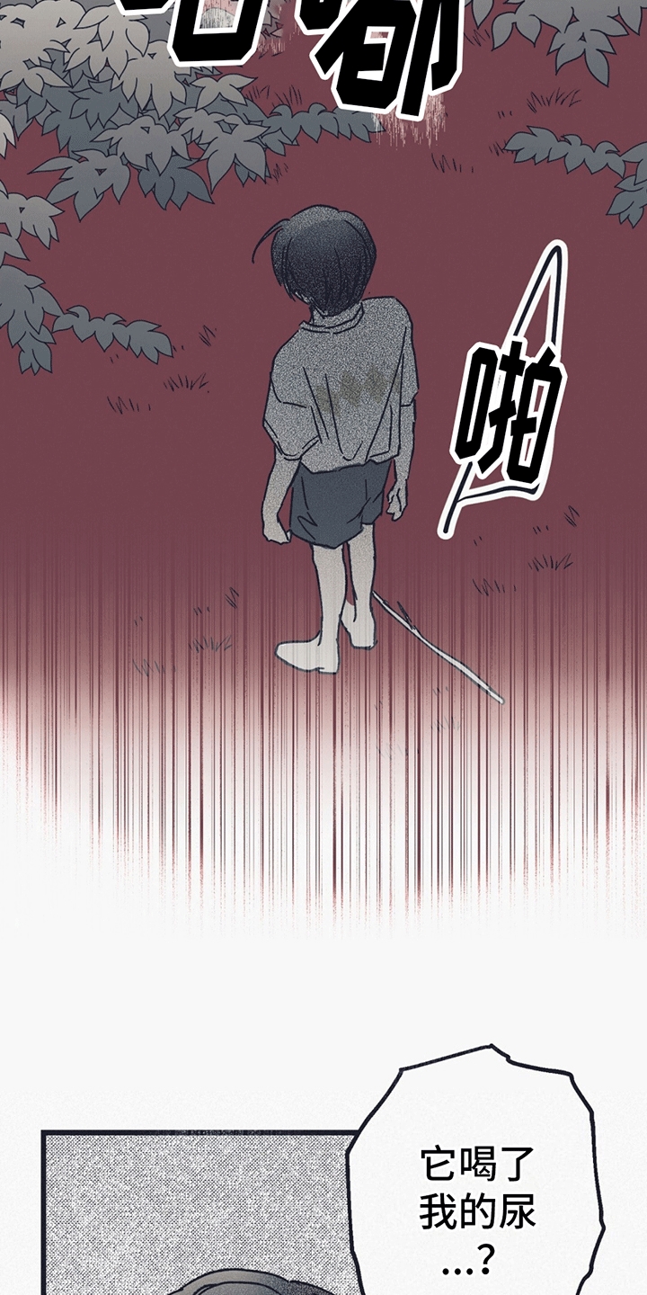 不速之客 - 生病 - 第11页