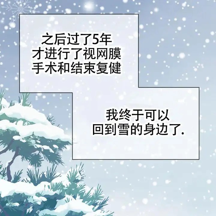 雪融化的那天 - 唯一的光 - 第56页
