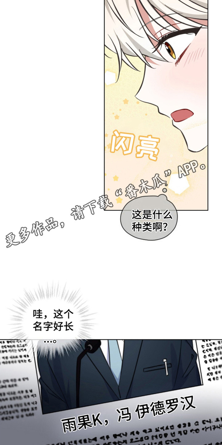 狐狸特饮 - 出众之处 - 第12页