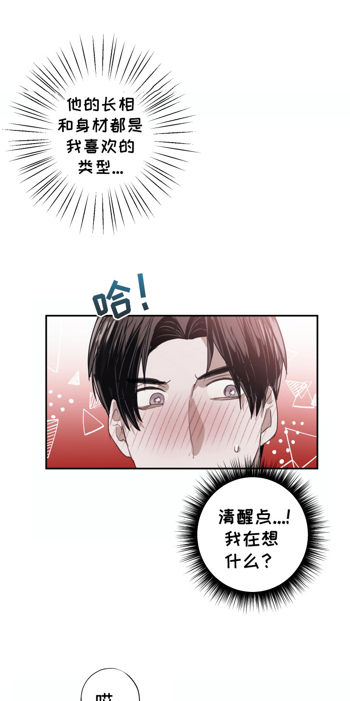 对峙法则 - 错认 - 第17页