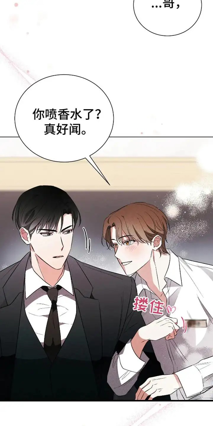坏苹果替代品 - 心甘情愿 - 第19页