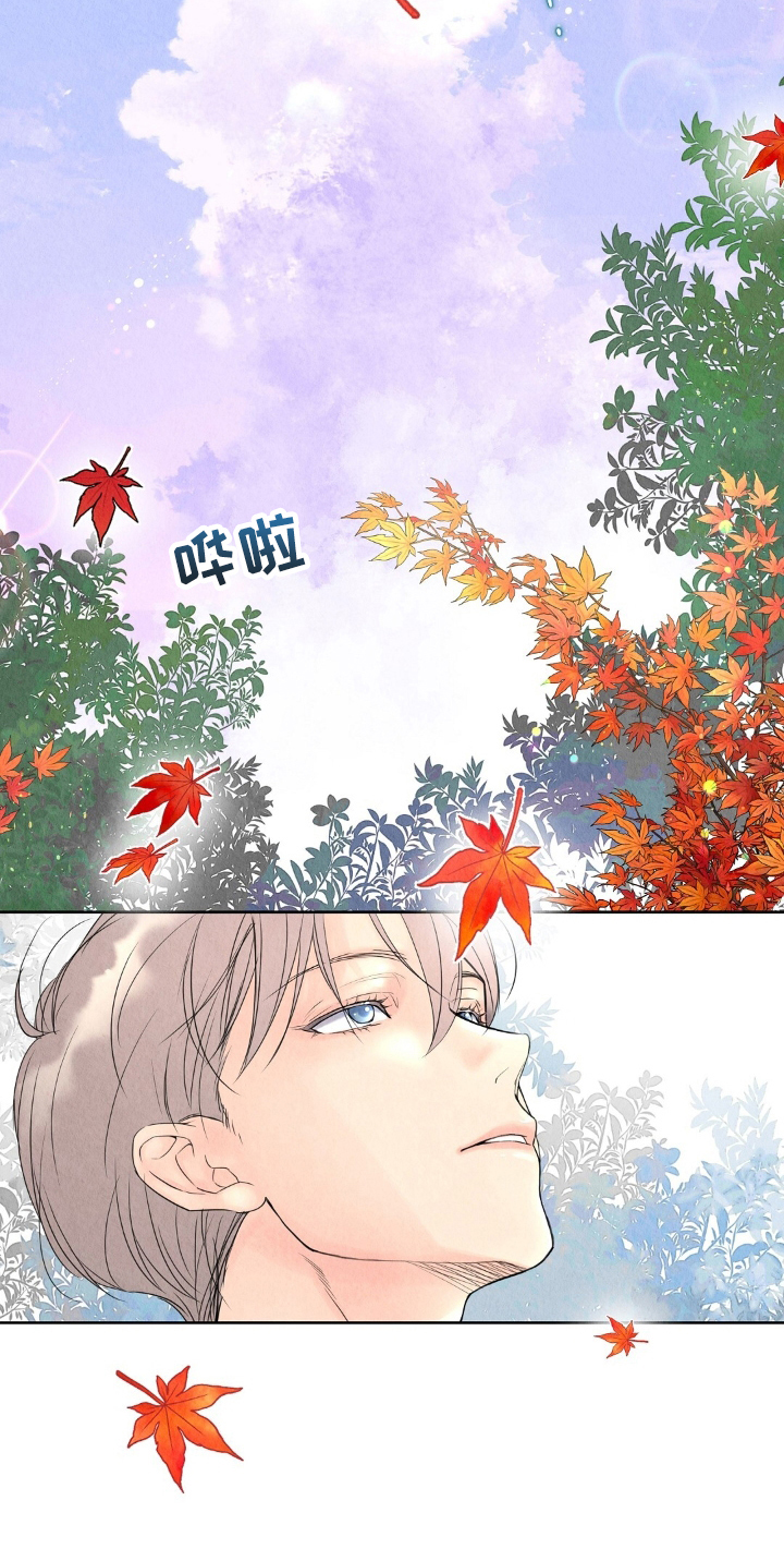 雨无痕 - 奶奶 - 第24页