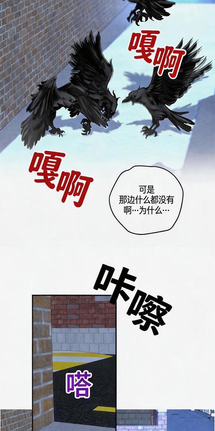 拳心拳意 - 不祥的预感 - 第14页
