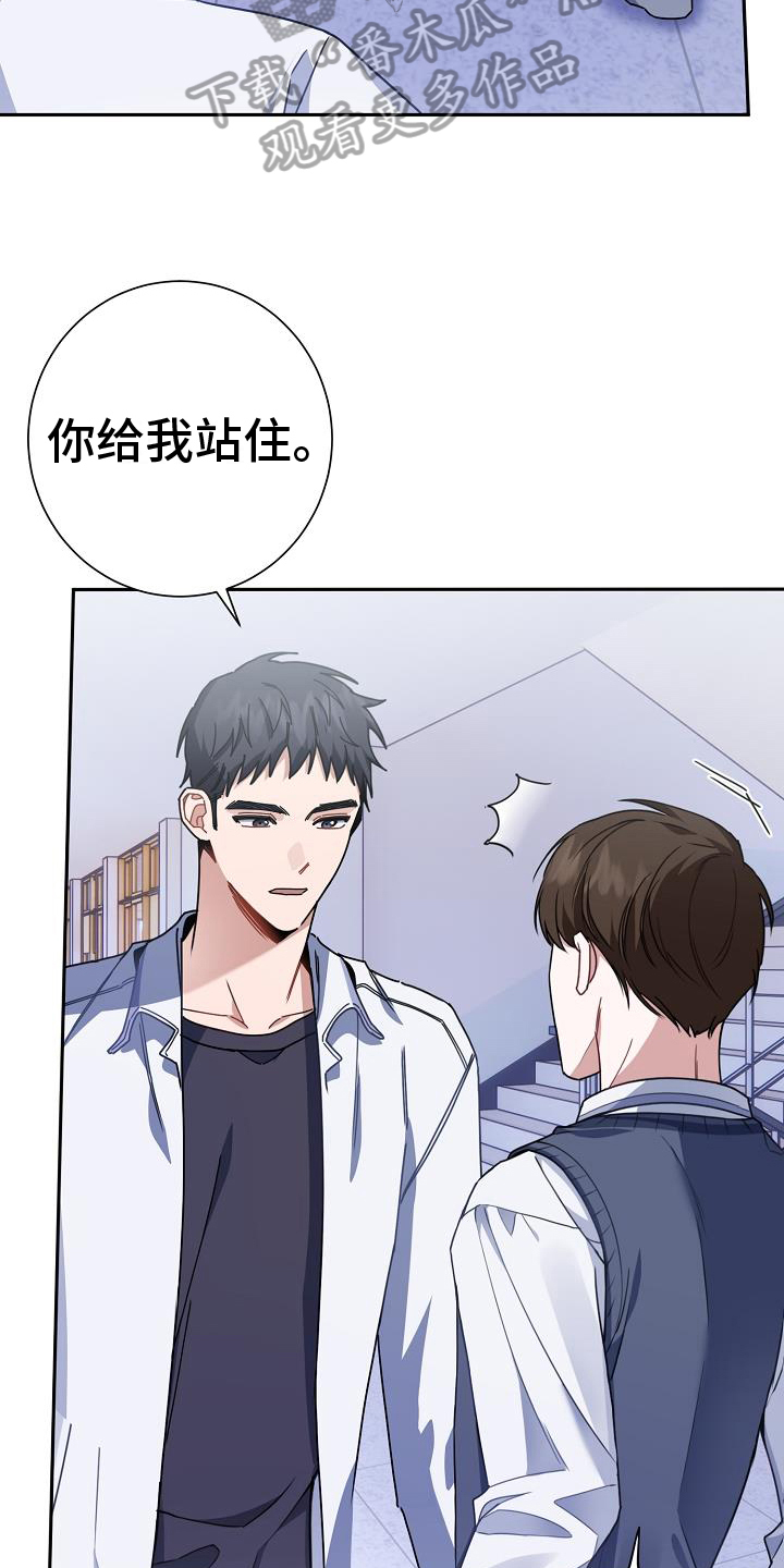 恋爱至上区域 - 询问 - 第12页
