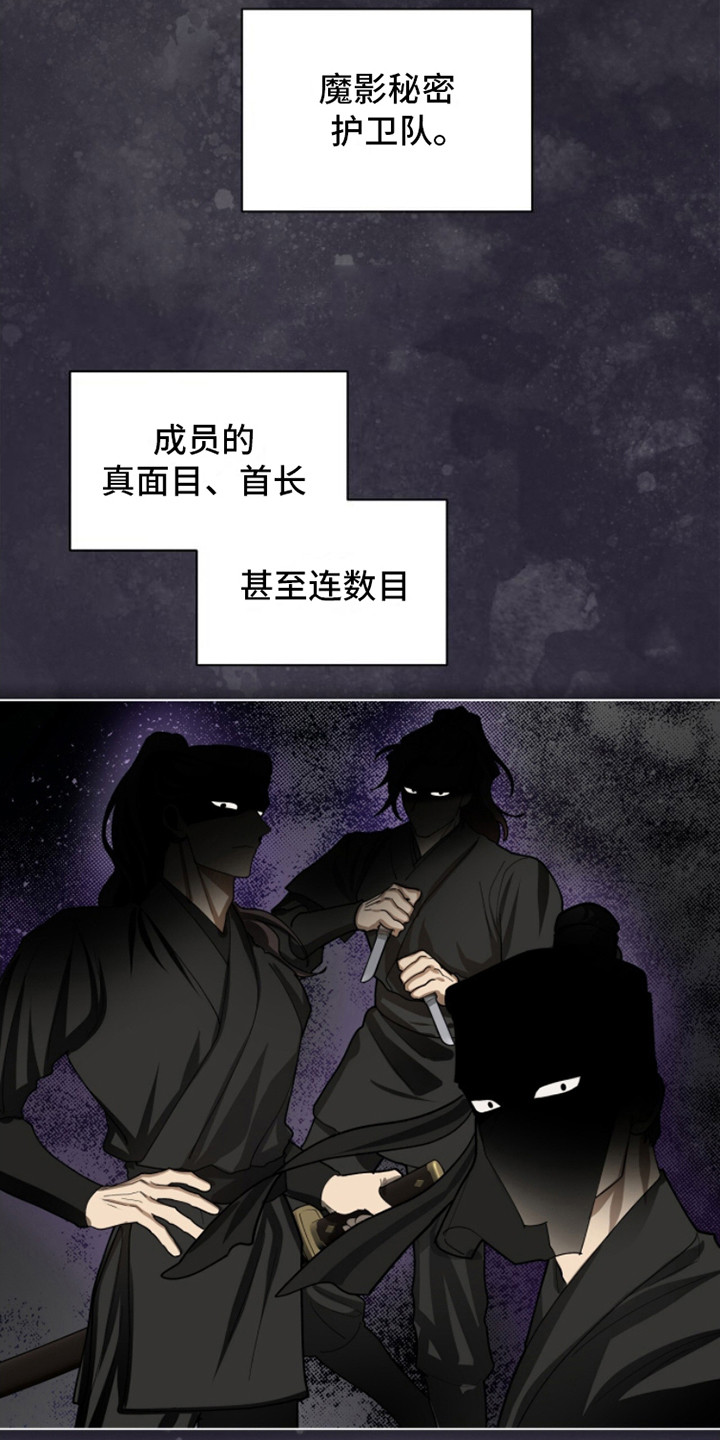 魔影护卫 - 升迁 - 第20页