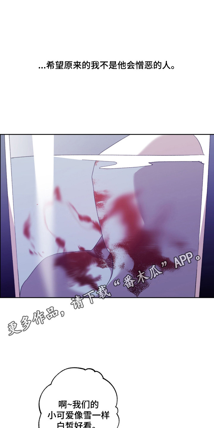 双生悲愿 - 不好的预感 - 第6页