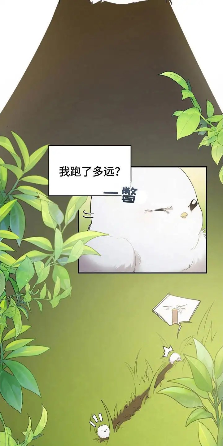白鸟奇遇记 - 白色小鸟 - 第15页