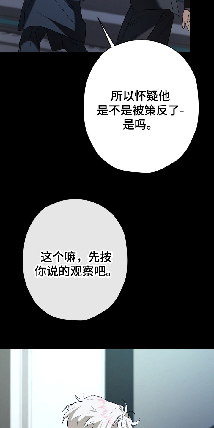 无间搭档 - 糖果 - 第5页