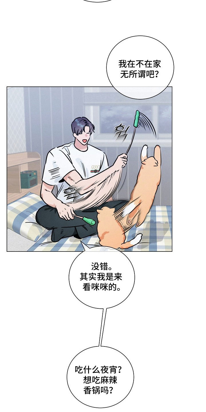 主播求放过 - 创可贴 - 第8页
