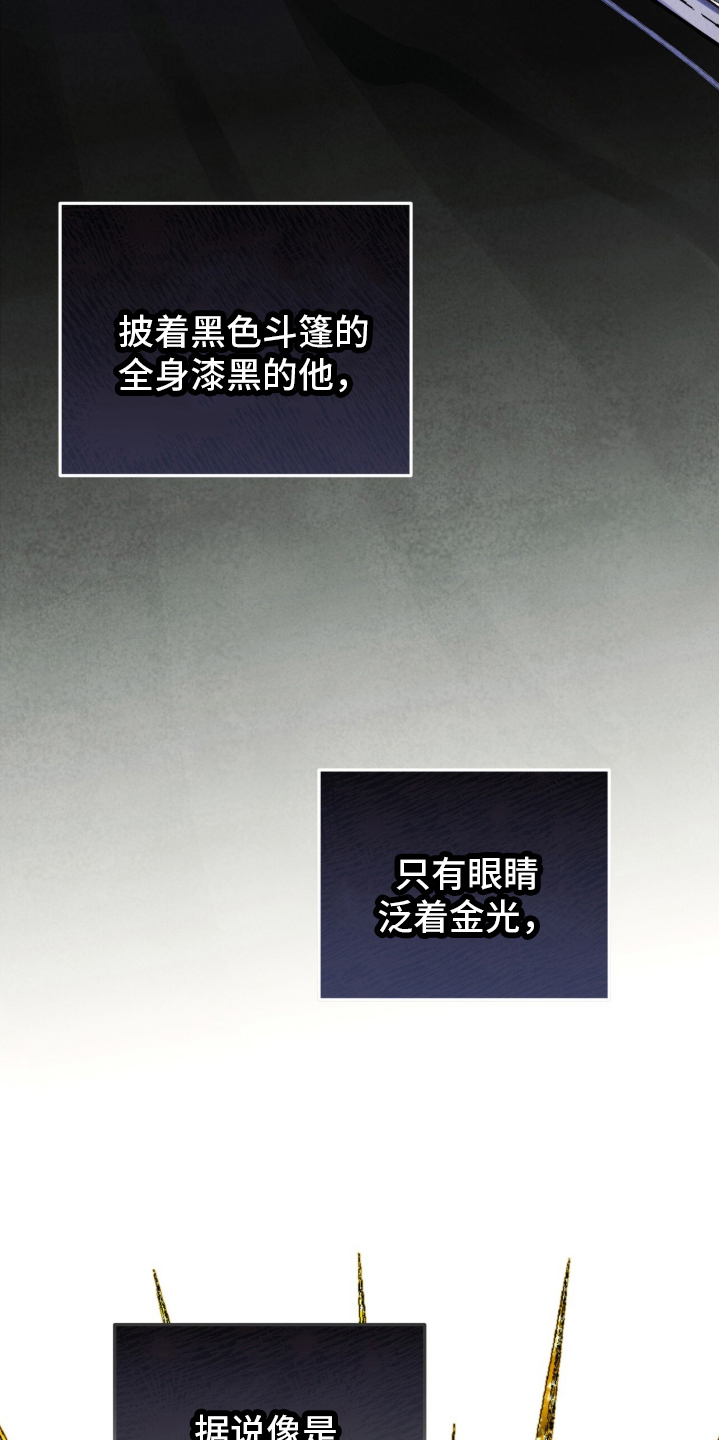 冰封的王嫁 - 无法预料 - 第21页