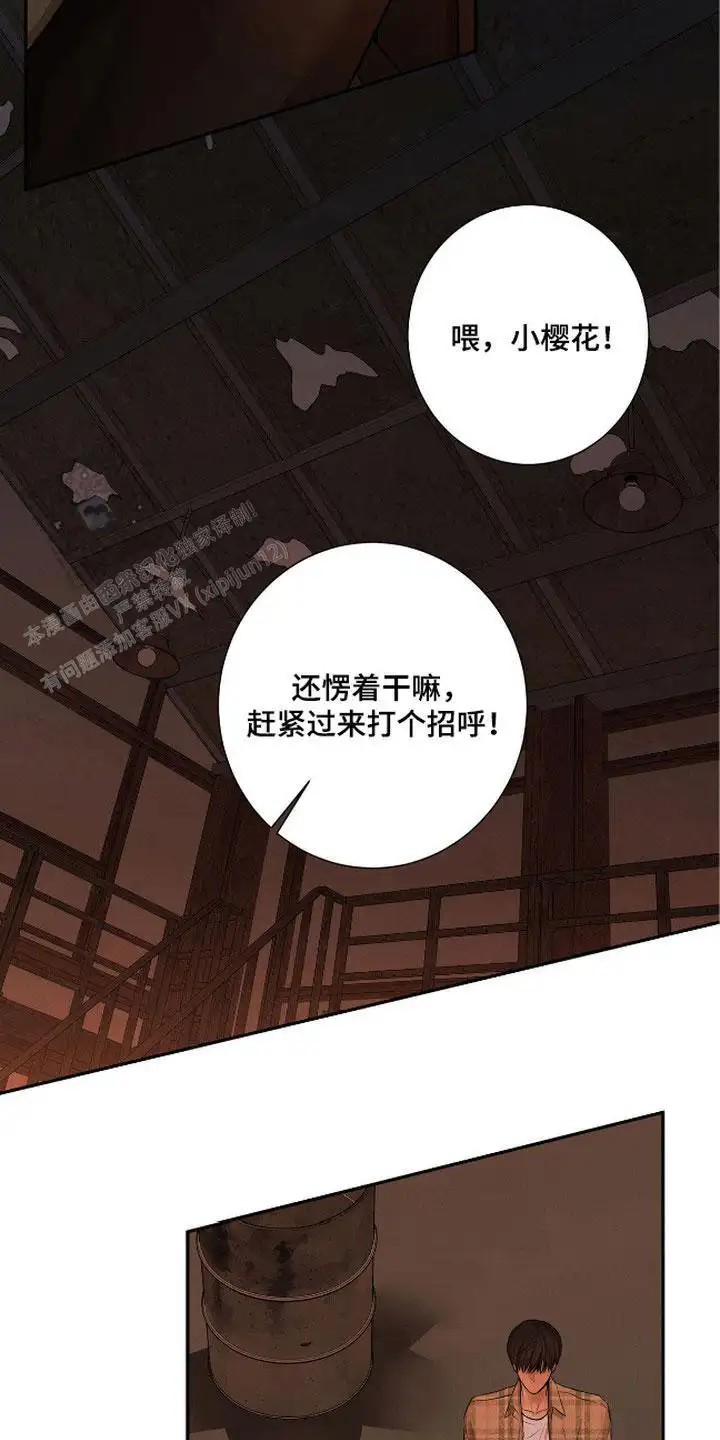 三月的樱花 - 打招呼 - 第5页