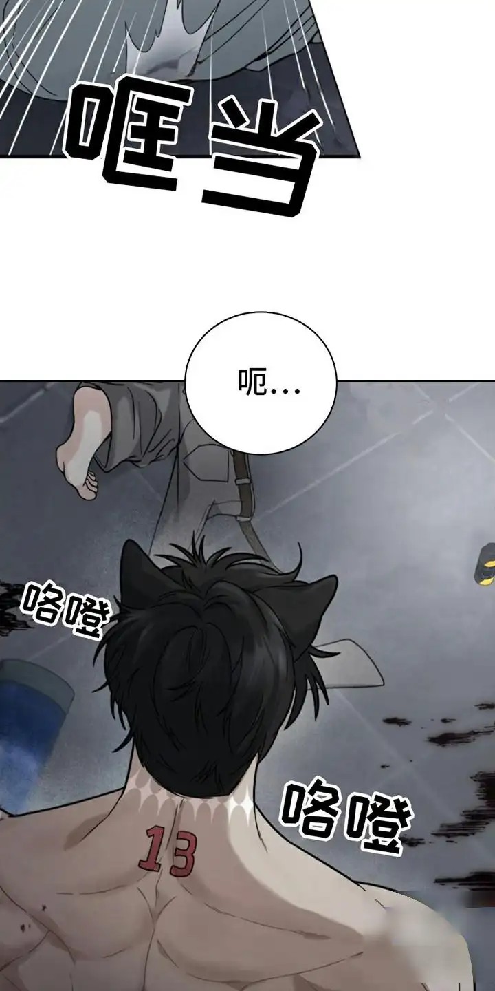 特殊实验 - 无法反抗 - 第17页