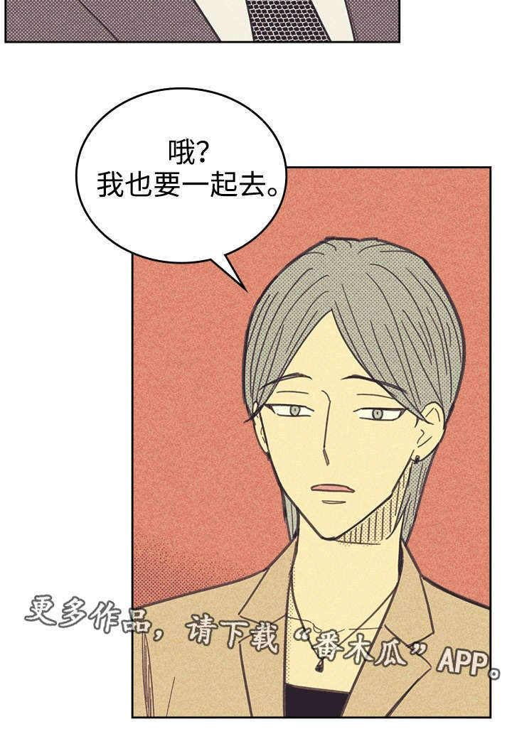 开或关 - 普洱茶 - 第5页