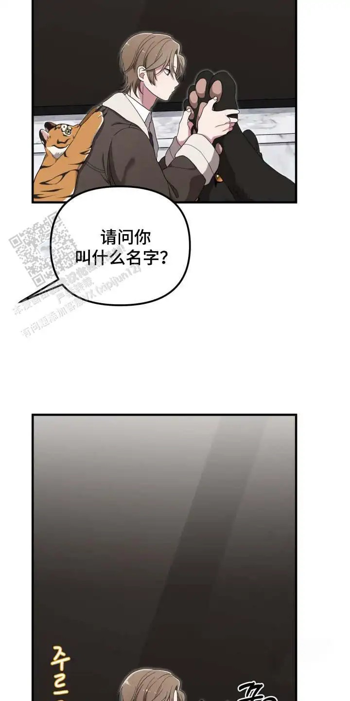 猛宠旧情 - 能力出色 - 第24页