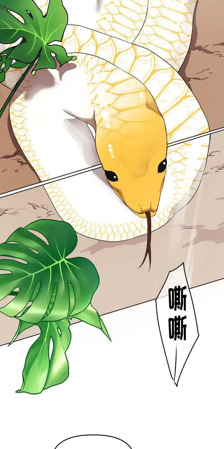 猛宠旧情 - 宠物管理 - 第12页