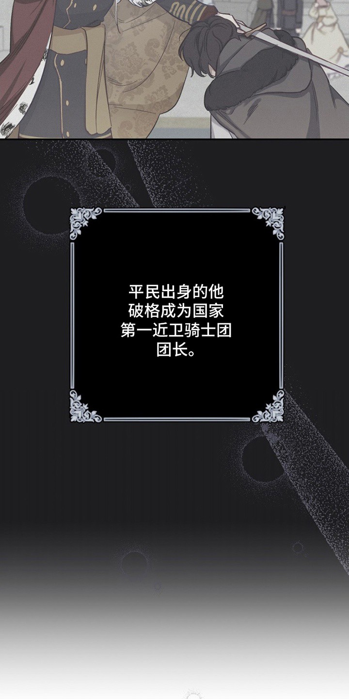 爱上骑士团团长 - 偶像 - 第16页