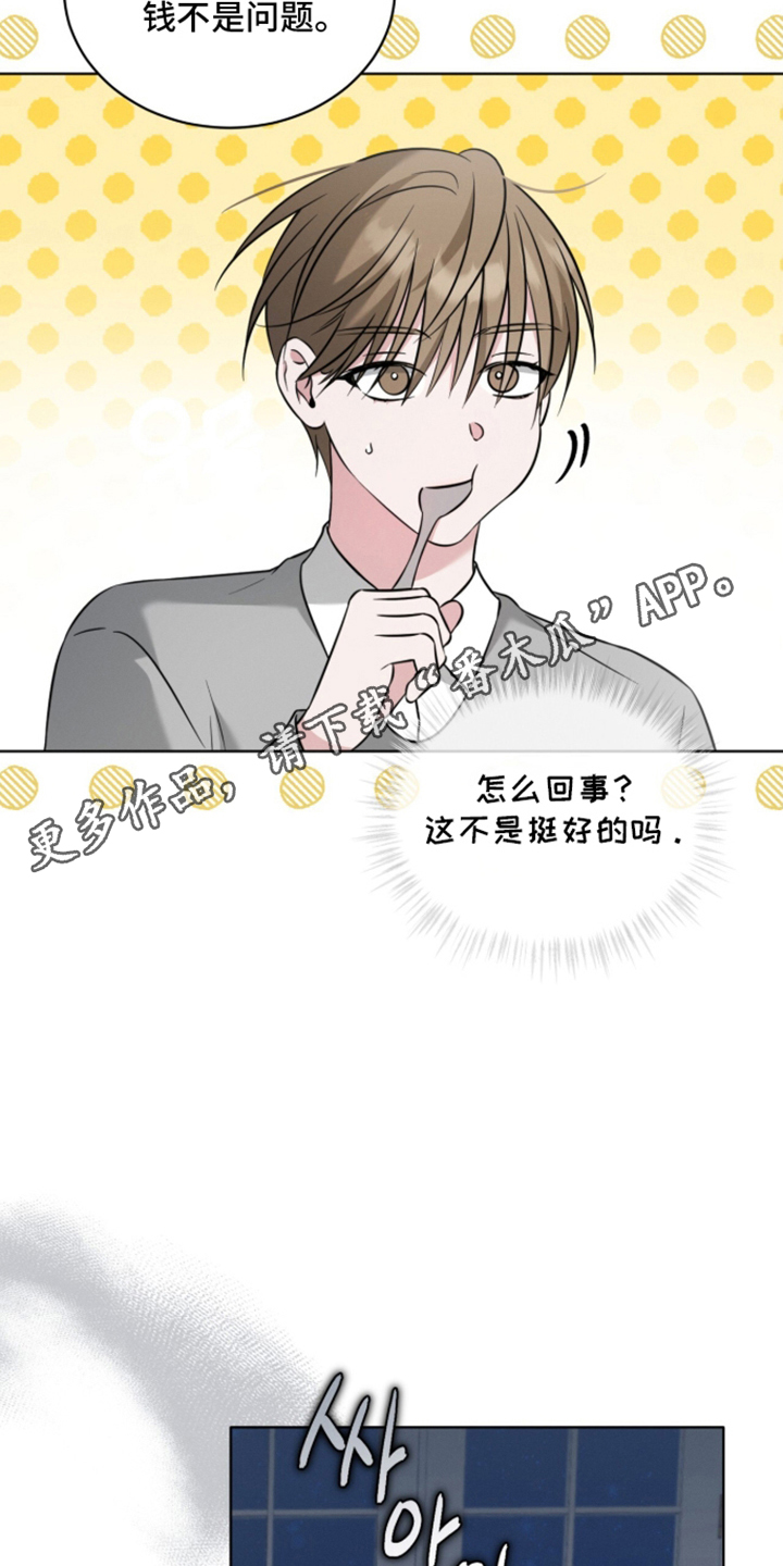 无香的花 - 真的失忆了吗 - 第19页