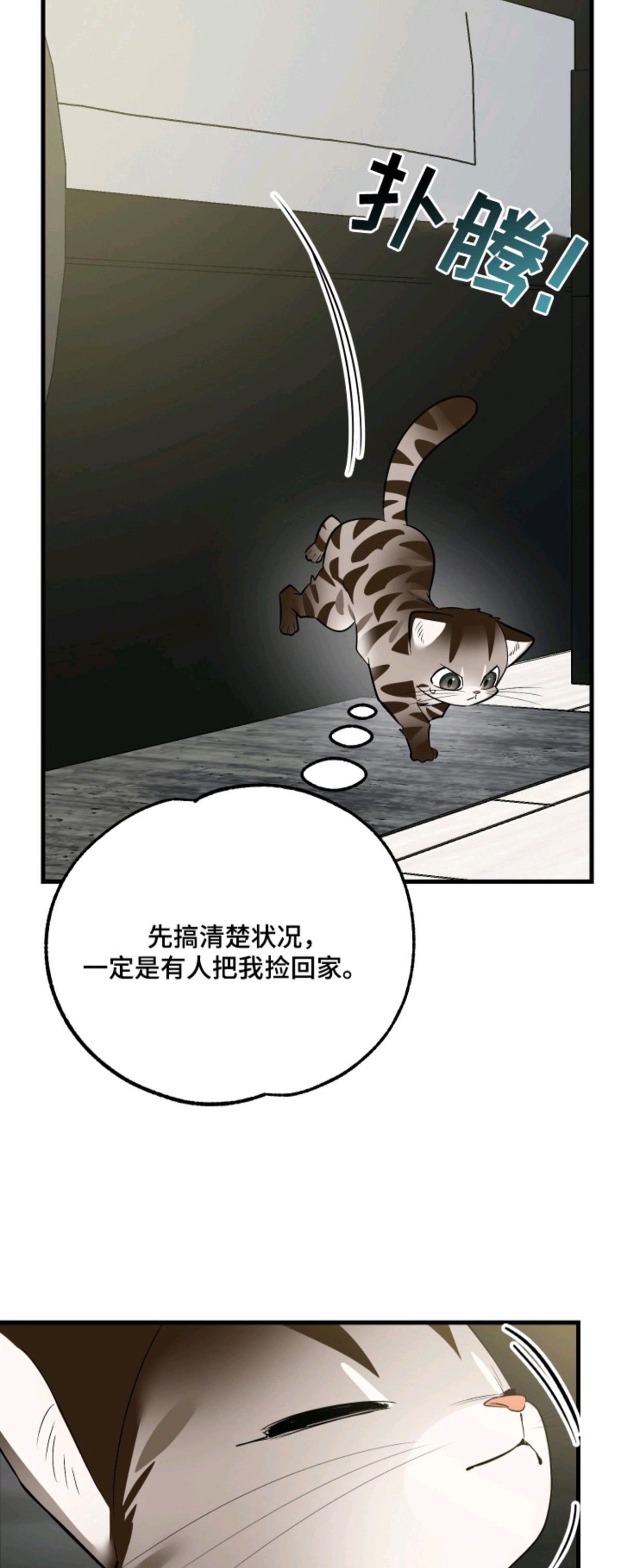 野猫的命定人类 - 闯祸了 - 第11页