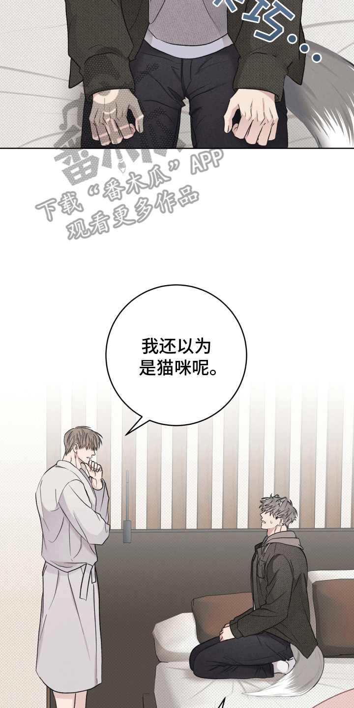 狼狗饲养日记 - 请求 - 第12页