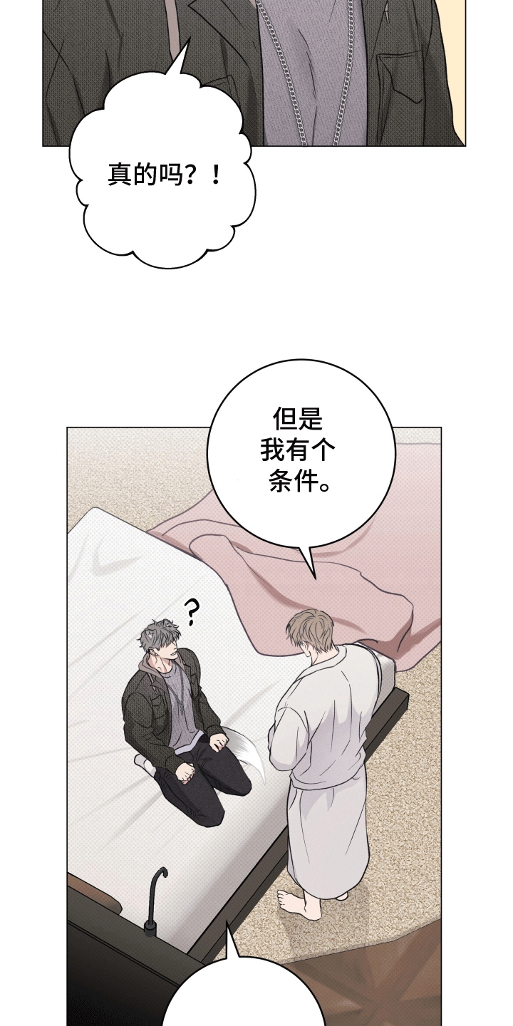 狼狗饲养日记 - 请求 - 第22页