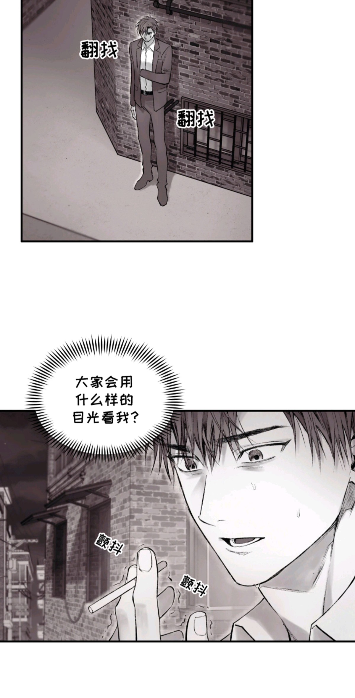 完美面具下的伪装 - 什么表情来着 - 第18页