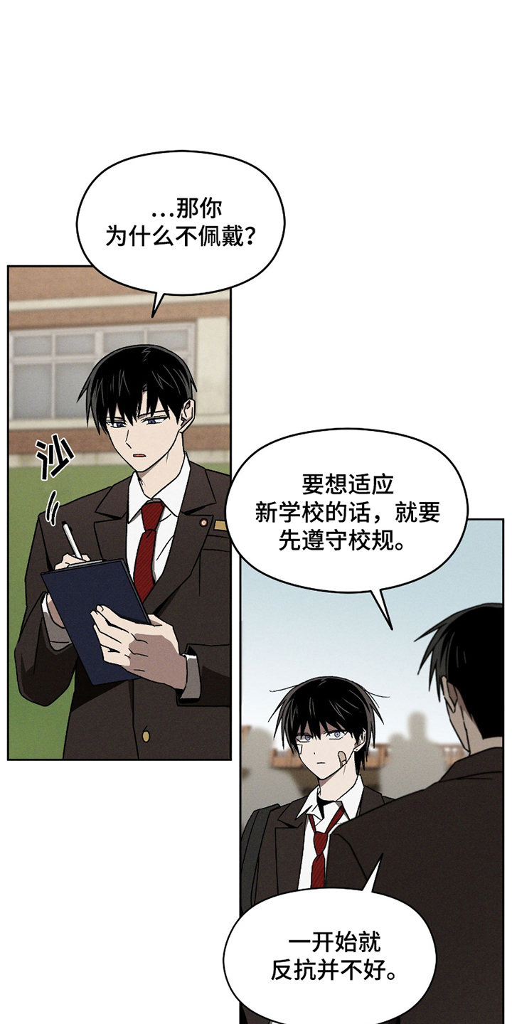转校生改造计划 - 刺头 - 第17页