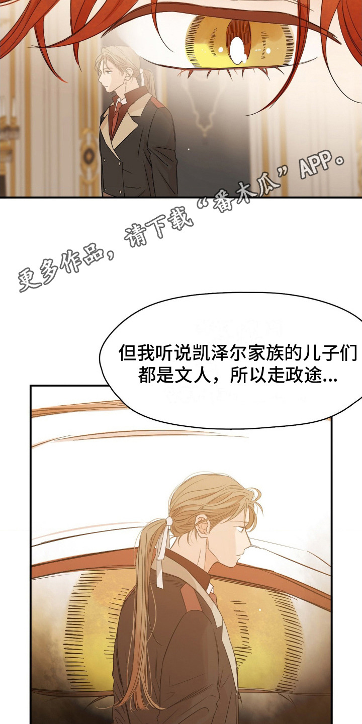 月光骑士 - 政敌 - 第12页