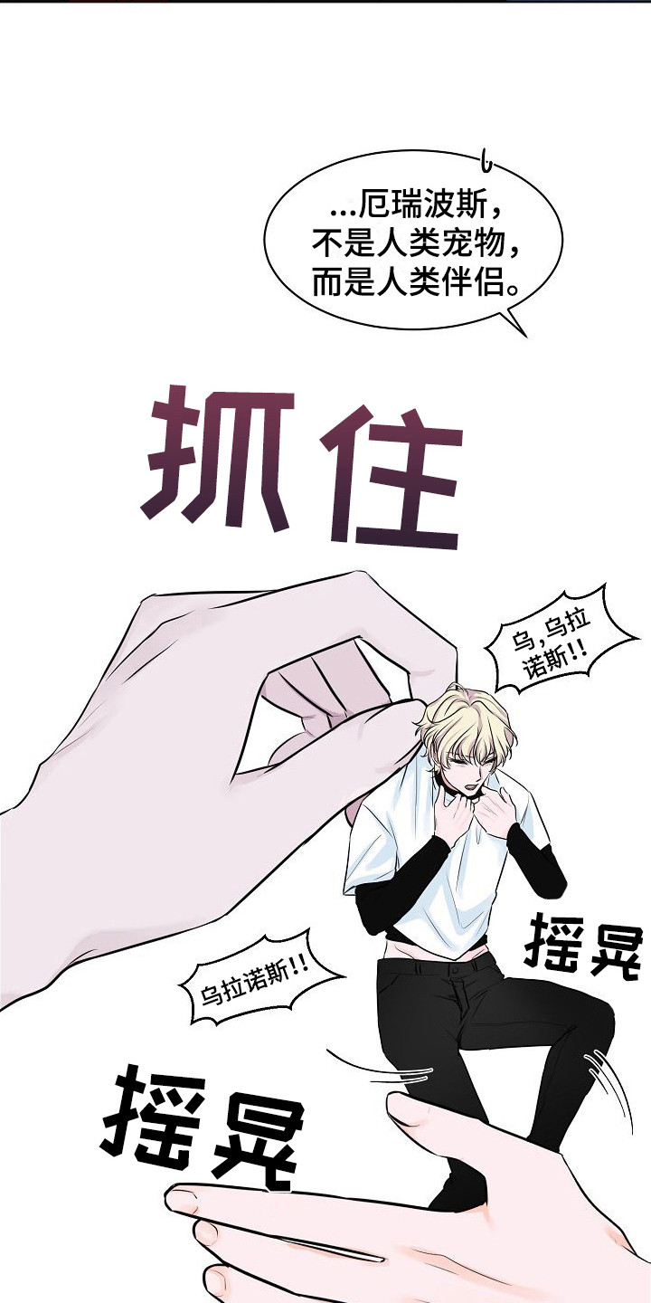 饲养计划 - 托付 - 第17页