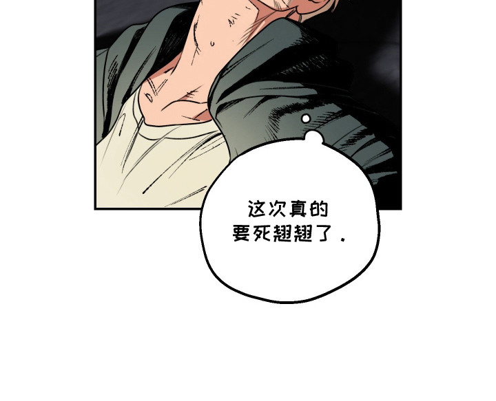 兔入狐窝 - 卑鄙 - 第20页
