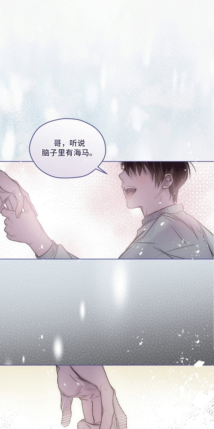 呼吸的记忆 - 记忆 - 第16页