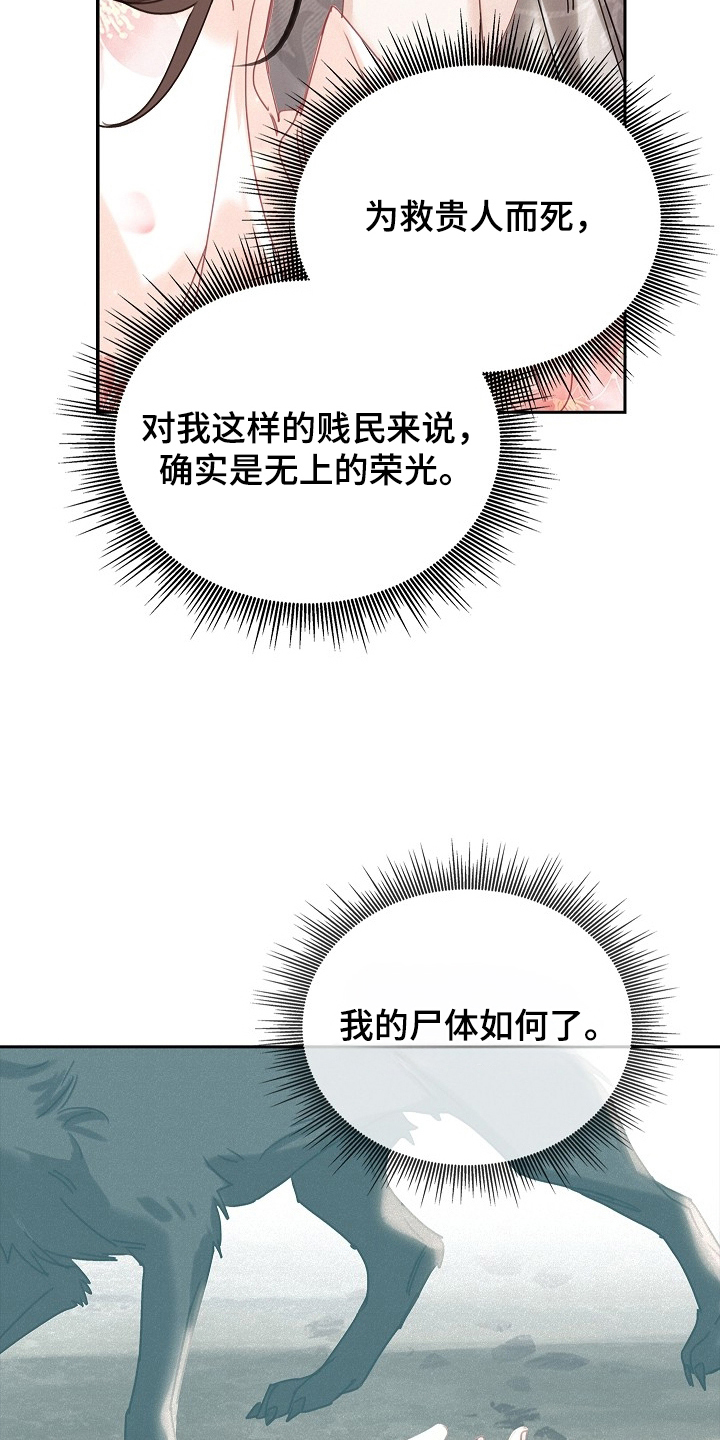 君心为我倾 - 不同的身份 - 第16页