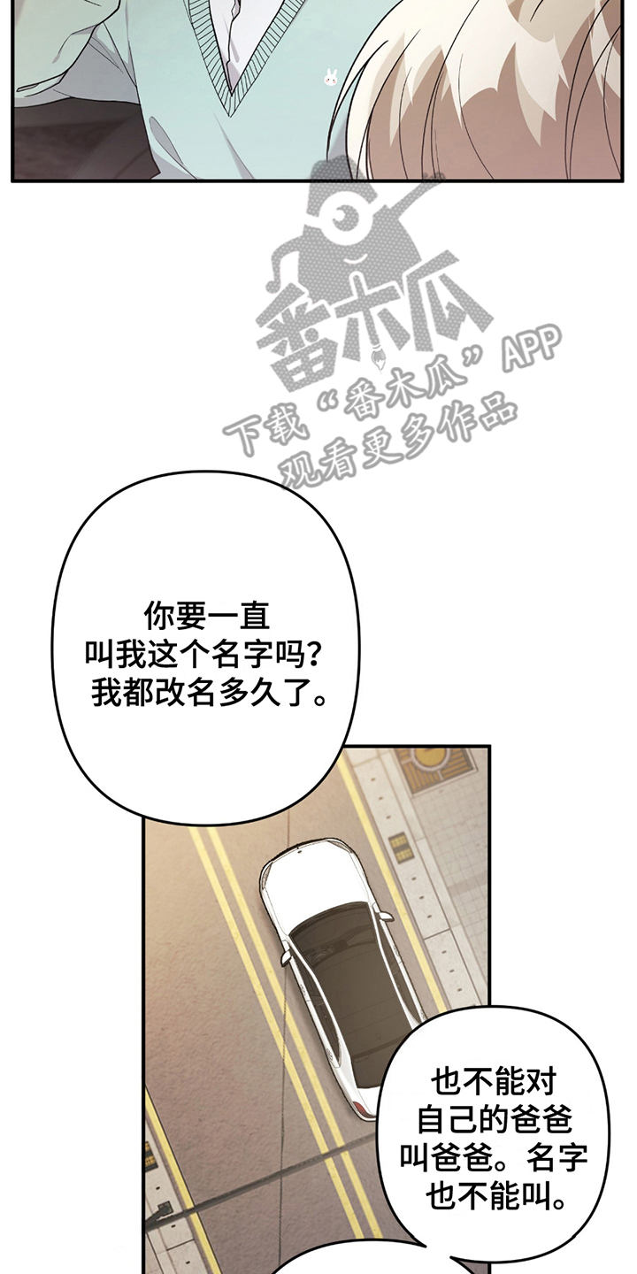 玫瑰庭院 - 闯祸 - 第11页