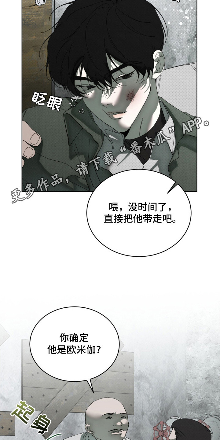 物种进化 - 地下拳击场 - 第6页