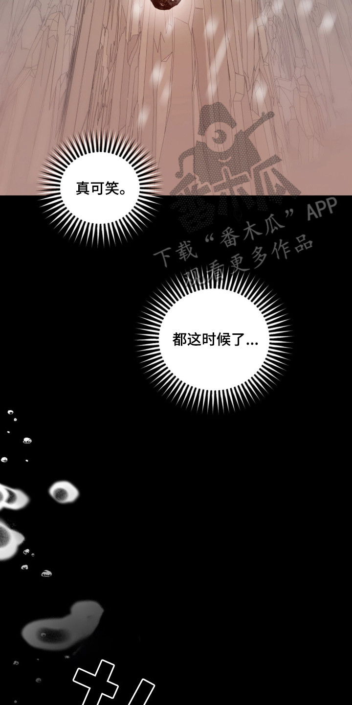 双生悲愿 - 坠落 - 第21页