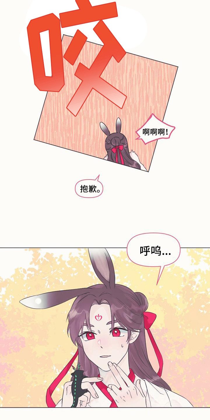 兔兔的小龙宝 - 取名 - 第18页