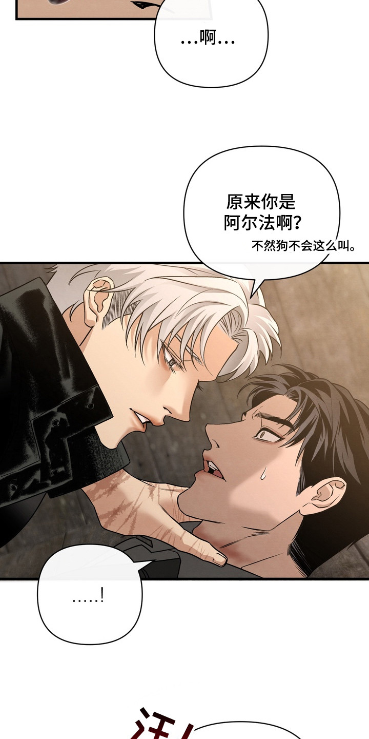 开发训狗 - 无法感知 - 第24页