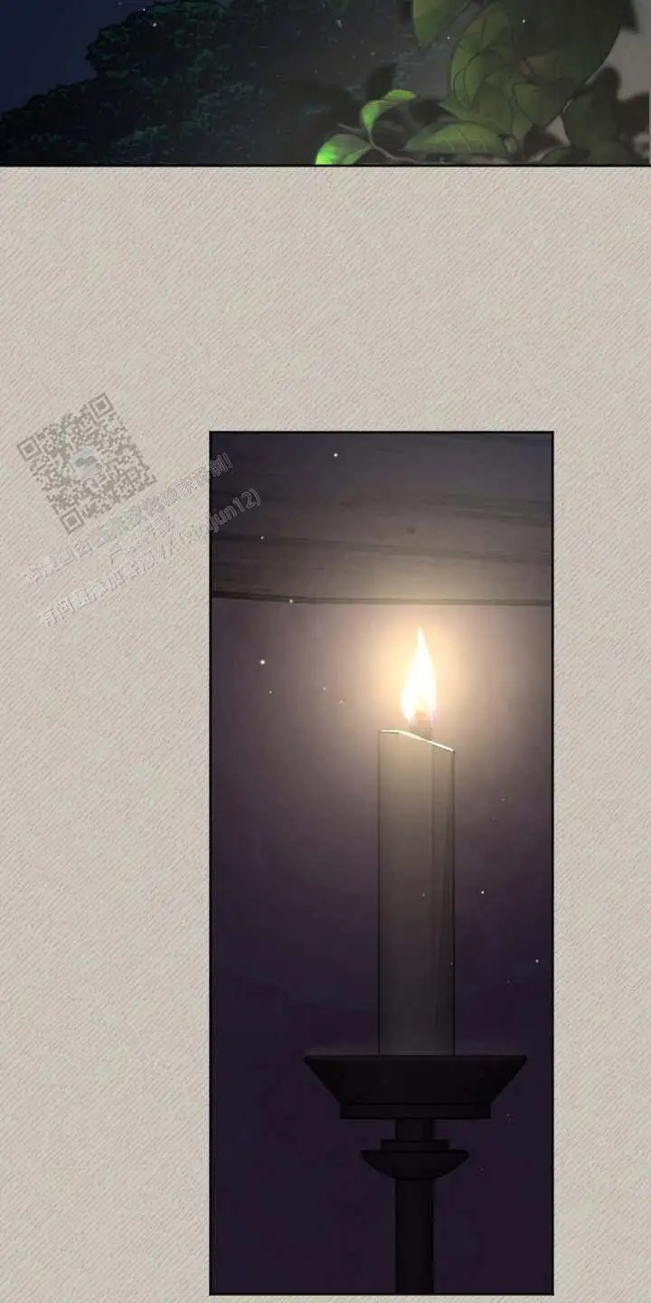 前世的祈愿 - 前世 - 第9页