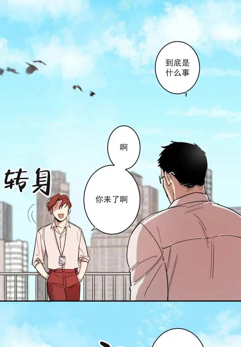 领带的用途 - 认错人了吧 - 第14页