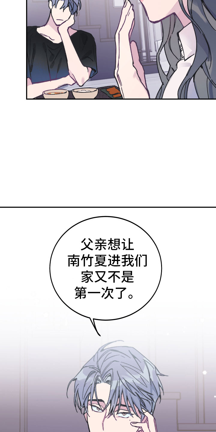 假浪漫 - 养子 - 第13页