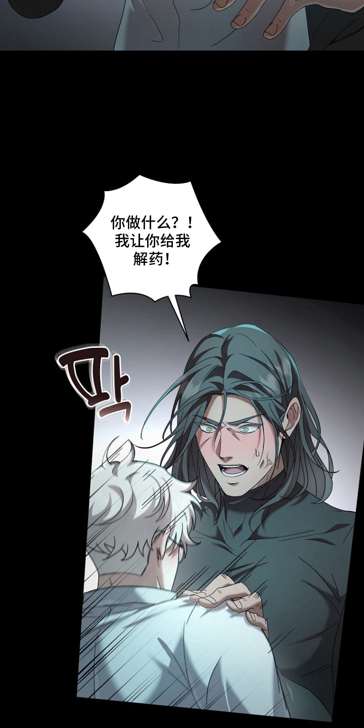 特工陷阱 - 药物 - 第20页
