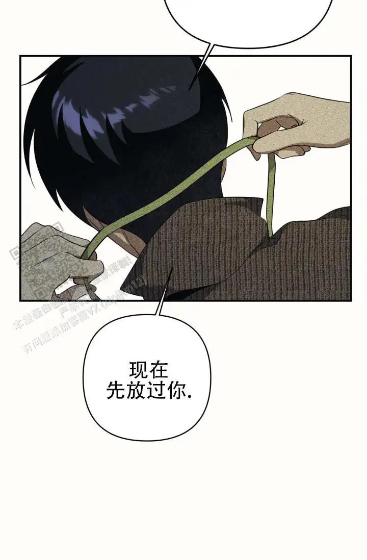 饭拍禁区 - 行程结束 - 第41页