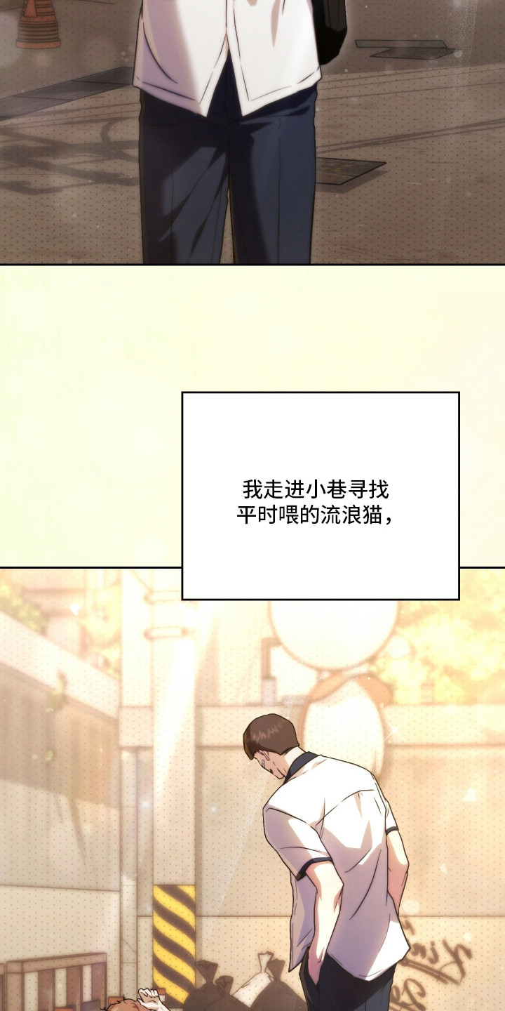 他的阴险温柔 - 暗恋的开始 - 第22页